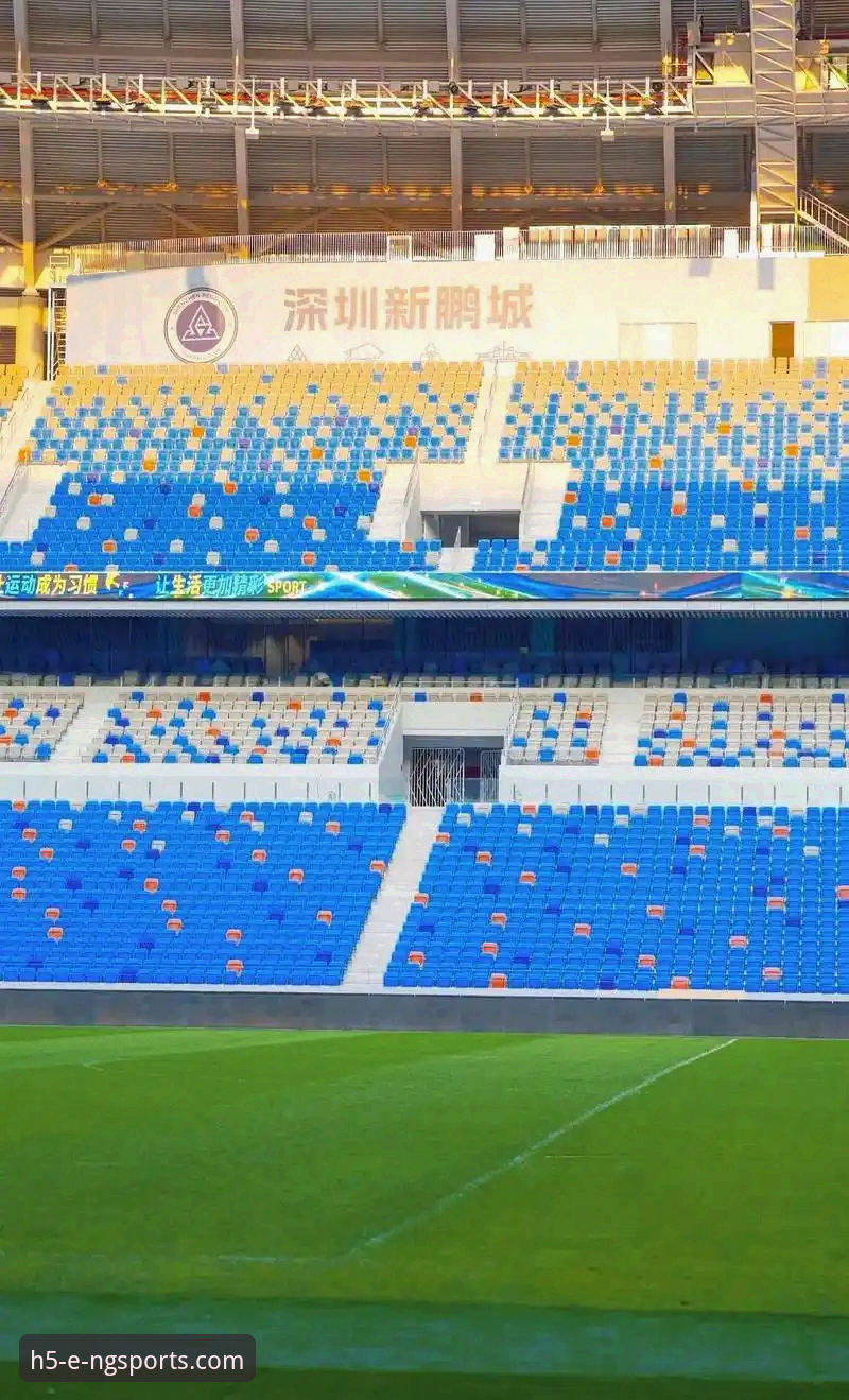 ng体育怎么样常见问题 N9体育平台使用常见问题完整指南:从下载到观赛的全流程解析